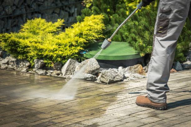 Best Winterizing Services  in Davenport, FL
